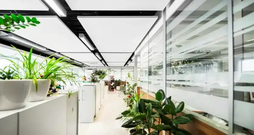 akustik-deckensegel akustik Deckensegel - raumakustik im Jahr 2026