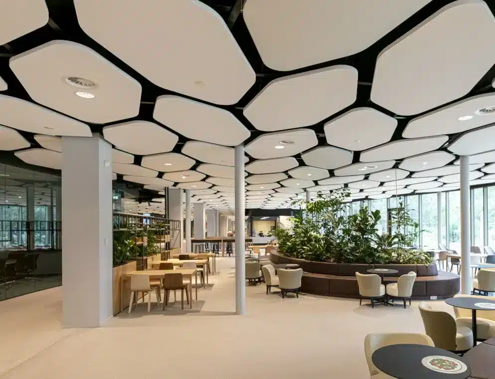 schallschlucker-decke schallschlucker decke